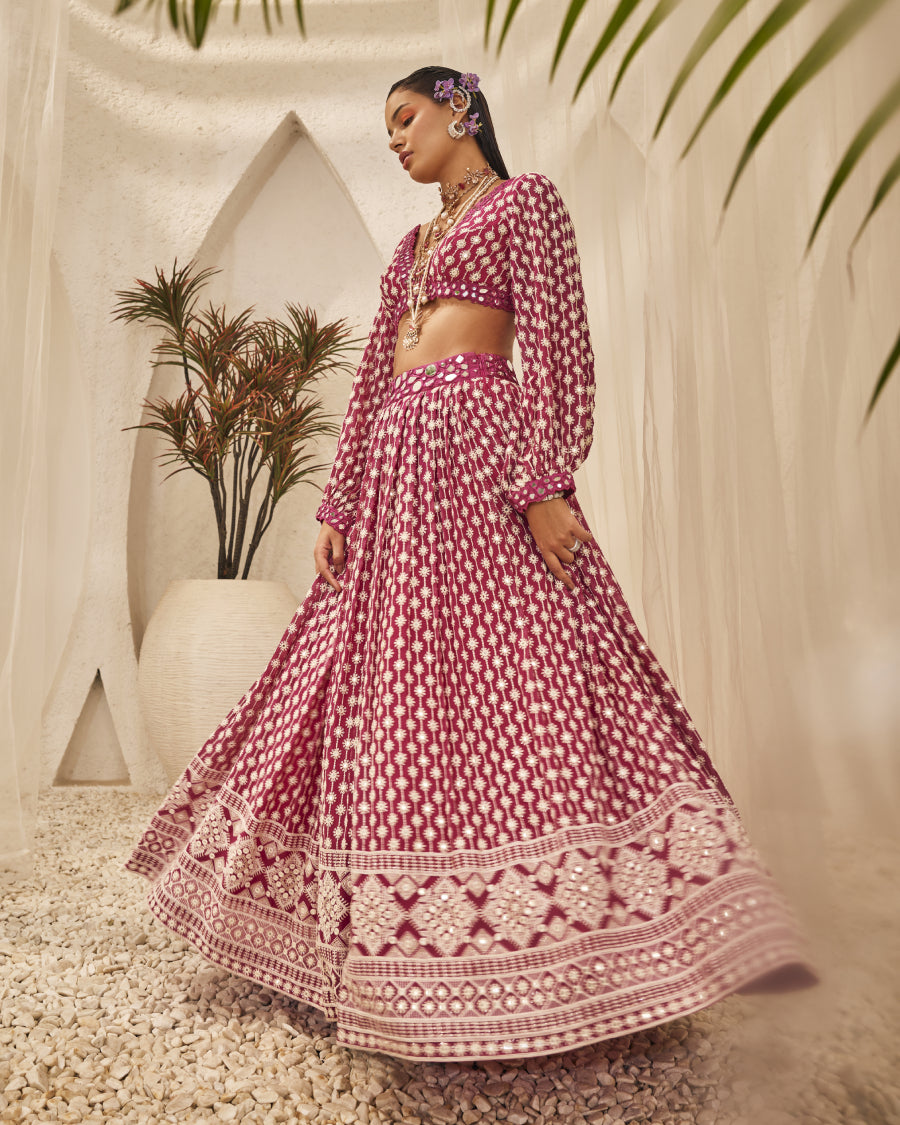 Lara Top with Stardust Lehenga Skirt in Rubis
