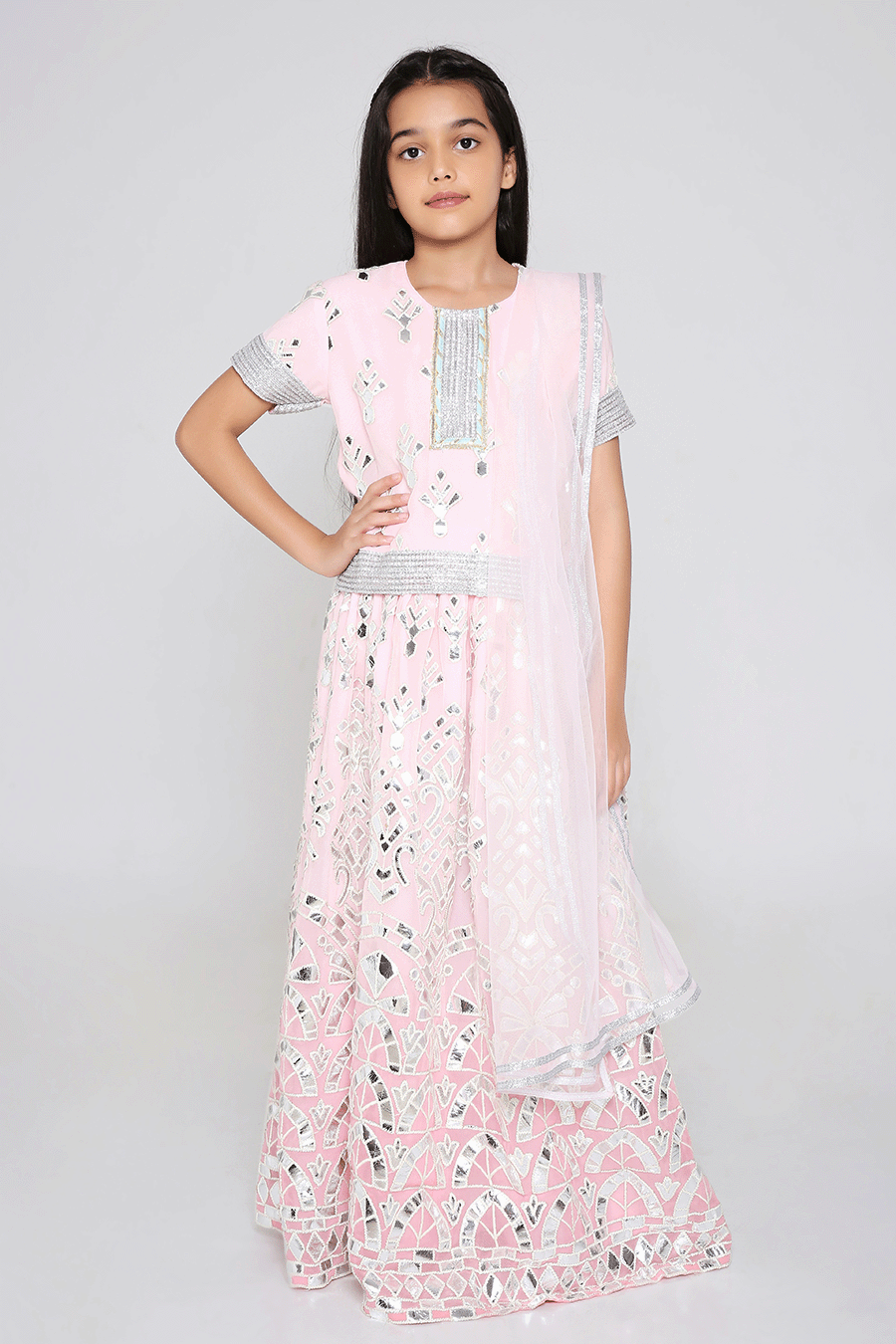 Sheesh Mahal Lehenga with cap sleeves in Blush